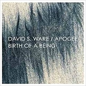 DAVID S WARE / デヴィッド・S・ウェア / BIRTH OF A BEING（EXPANDED） / BIRTH OF A BEING (EXPANDED)
