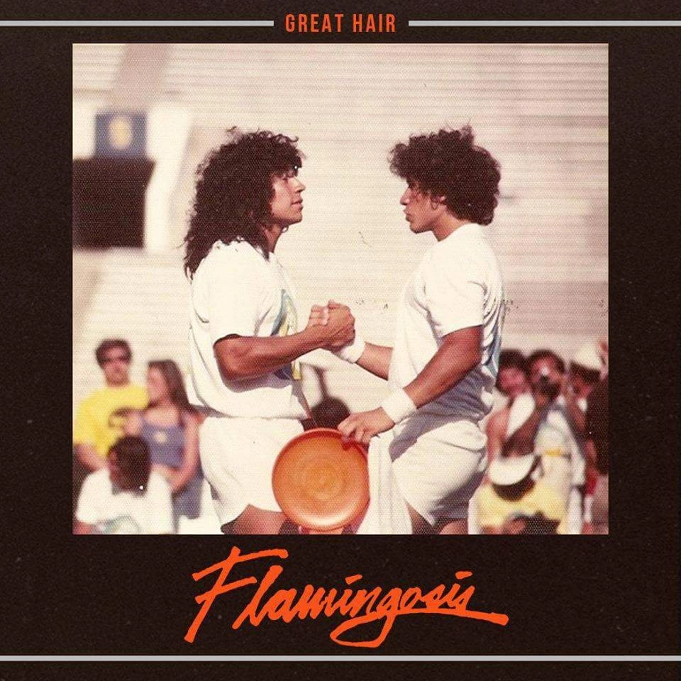 FLAMINGOSIS / GREAT HAIR