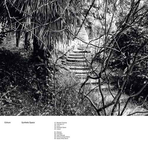 ECHIUM / SYNTHETIC SPACE