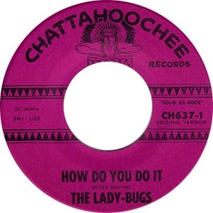 LADY-BUGS / HOW DO YOU DO IT