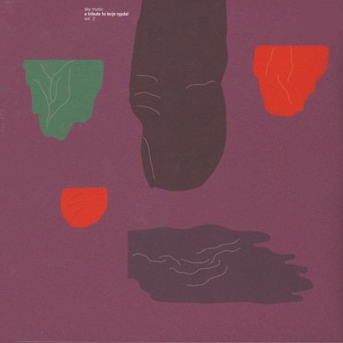 HENRY KAISER / ヘンリー・カイザー / SKY MUSIC: A TRIBUTE TO TERJE RYPDAL VOL.2