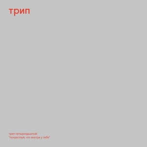 NINA KRAVIZ / ニーナ・クラヴィッツ / POCHUVSTVUI