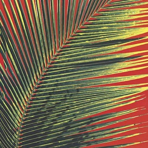 POOLSIDE / プールサイド / CONTACT HIGH