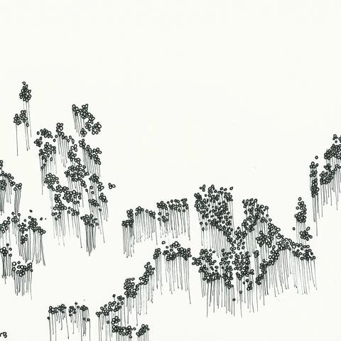 WOWFLOWER / BALLOONS