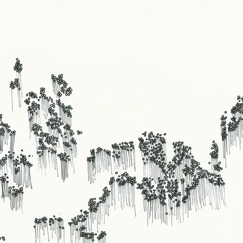 WOWFLOWER / BALLOONS