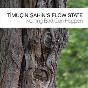 TIMUCIN SAHIN / Nothing Bad Can Happen