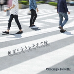 Chicago Poodle / シカゴ・ブードル / 袖振り合うも多生の縁