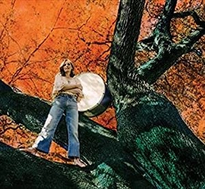 TIFT MERRITT / ティフト・メリット / スティッチ･オブ･ザ･ワールド