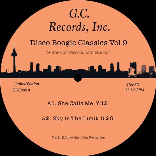 DISCO BOOGIE CLASSICS / VOL.9