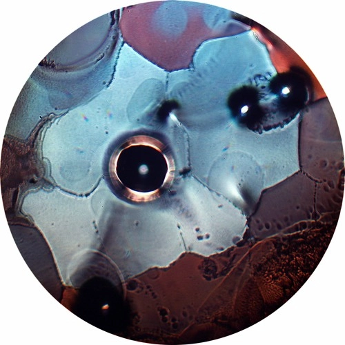 ATSUSHI YANO / ROTTIE BITES EP