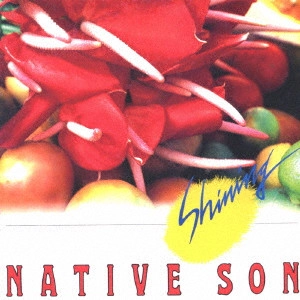 NATIVE SON / ネイティブ・サン / シャイニング / SHINING