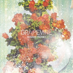 GRAPEVINE / ROADSIDE PROPHET(通常盤)