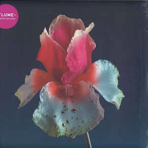 FLUME / TINY CITIES / TAKE A CHANCE (REMIXES)