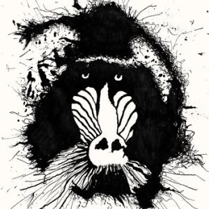 FERAL OHMS / FERAL OHMS<LP>