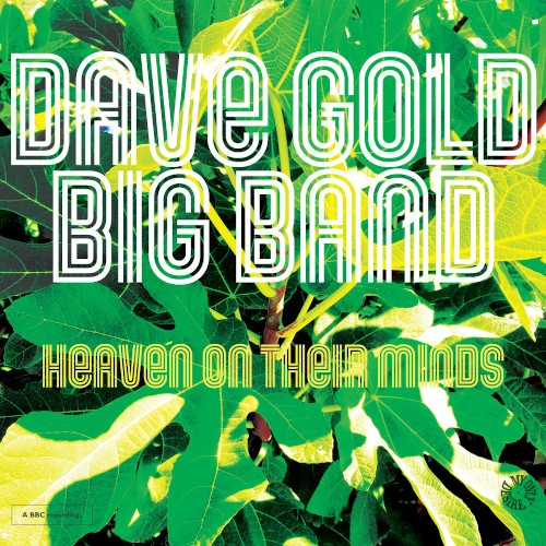 DAVE GOLD / HEAVEN ON THEIR MINDS