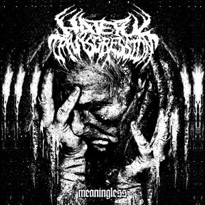 HATEFUL TRANSGRESSION / ヘイトフル・トランスグレッション / ミーニングレス / MEANINGLESS