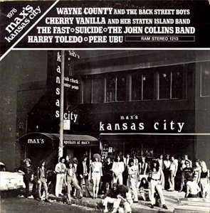 V.A. / オムニバス / 1976 MAX'S KANSAS CITY (LP)