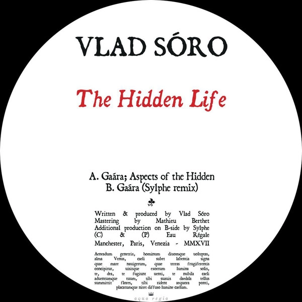 VLAD SORO / HIDDEN LIFE