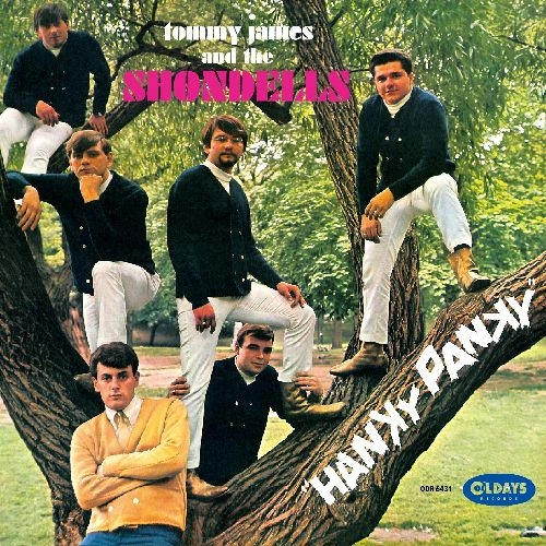 TOMMY JAMES & THE SHONDELLS / トミー・ジェイムス&ザ・ションデルズ / ハンキー･パンキー / HANKY PANKY