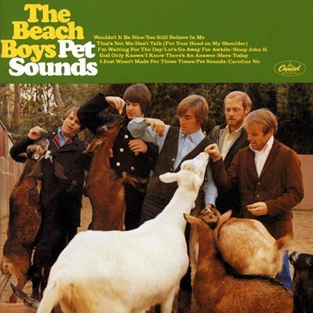 BEACH BOYS / ビーチ・ボーイズ / PET SOUNDS [200G 45RPM 2LP]