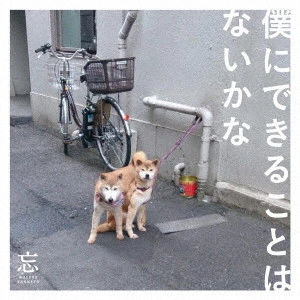 忘れらんねえよ 商品一覧 | ディスクユニオン・オンラインショップ