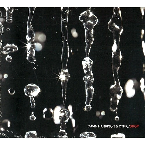 GAVIN HARRISON / 05RIC / DROP