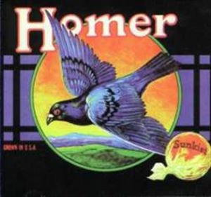 HOMER (US PSYCH) / GROWN IN U.S.A.