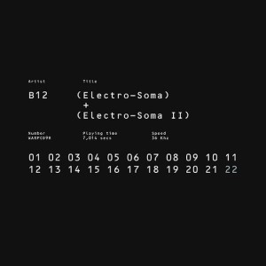 B12 / ELECTRO-SOMA I + II ANTHOLOGY 
