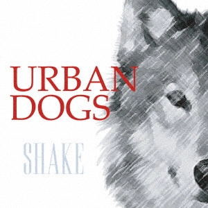 URBAN DOGS / アーバン・ドッグス / SHAKE