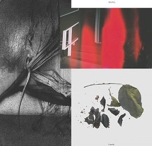 JH1.FS3 (PUCE MARY AND JESSE SANES) / LOYALTY