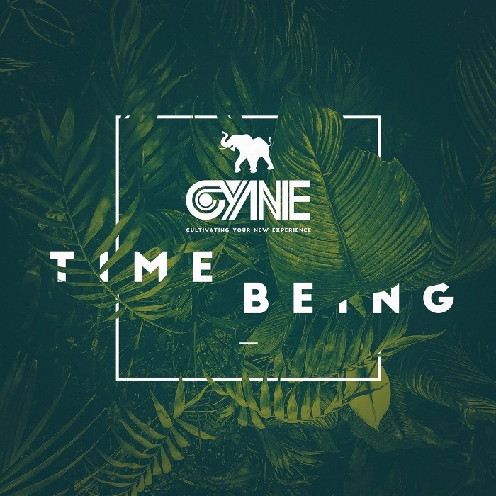 CYNE / サイン / TIME BEING