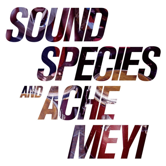 SOUNDSPECIES & ACHE MEI / サウンド・スピーシーズ・アンド・エイク・メイ / サウンド･スピーシーズ･アンド･エイク･メイ / SOUNDSPECIES & ACHE MEI