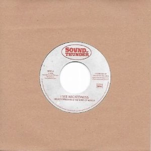 DELROY WILLIAMS / デルロイ・ウィリアムス / I SEE WICKEDNESS