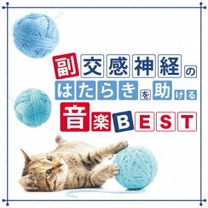 JUNICHI KAMIYAMA / 神山純一 / 副交感神経のはたらきを助ける音楽 BEST