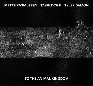 TASHI DORJI / TO THE ANIMAL KINGDOM