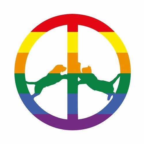 HYPE WILLIAMS / ハイプ・ウィリアムス / RAINBOW EDITION