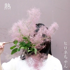 ヒロネちゃん / 熱
