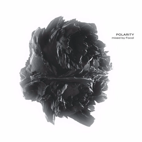 FOCAL / POLARITY  MIXED BY FOCAL / POLARITY  MIXED BY FOCAL 