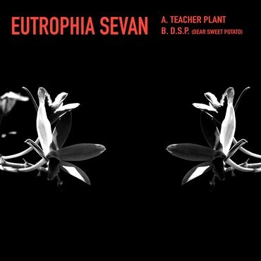 KYLE HALL / カイル・ホール / EUTROPHIA SEVAN