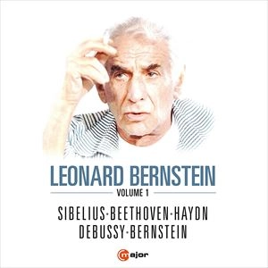 LEONARD BERNSTEIN / レナード・バーンスタイン / LEONARD BERNSTEIN VOLUME 1