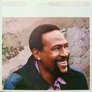 MARVIN GAYE / マーヴィン・ゲイ / DREAM OF A LIFETIME