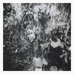TIM MISLOCK / NOW IS THE LAST BEST TIME
