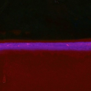 BUCKET BRIGADE / MNEMOSYNE