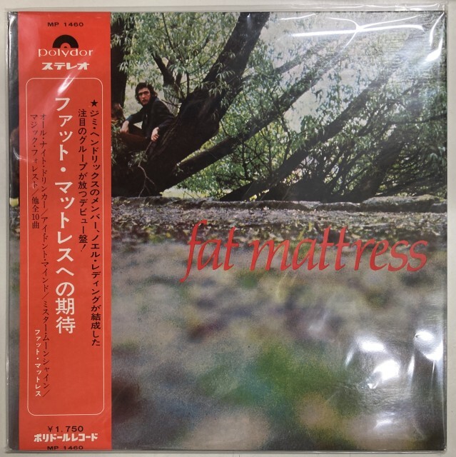 FAT MATTRESS / ファット・マットレス / ファット･マットレスへの期待