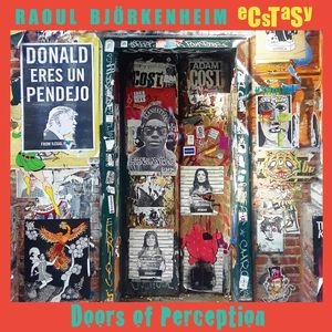 RAOUL BJORKENHEIM / Doors Of Perception