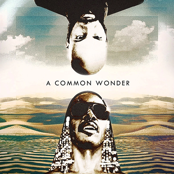 COMMON VS STEVIE WONDER / A COMMON WONDER