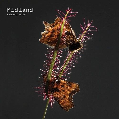 MIDLAND / ミッドランド / FABRICLIVE 94