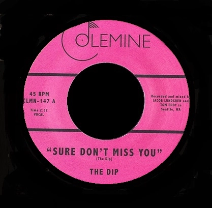 dip / SURE DON'T MISS YOU / INSTRUMENTAL