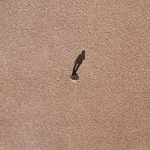 ROBERT ASHLEY / ロバート・アシュリー / TAP DANCING IN THE SAND