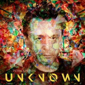 PIERRICK PEDRON / ピエリック・ペドロン / UNKNOWN